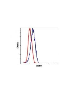 Cell Signaling Mtor (7c10) Rabbit mAb