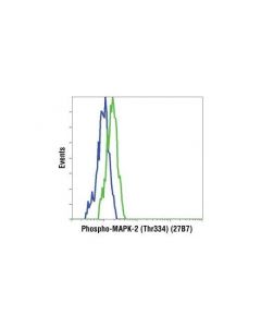Cell Signaling Phospho-Mapkapk-2 (Thr334) (27b7) Rabbit mAb