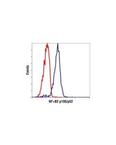 Cell Signaling Nf-Kappab2 P100/P52 (18d10) Rabbit mAb