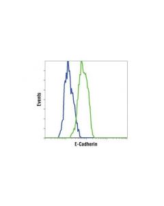 Cell Signaling E-Cadherin (24e10) Rabbit mAb