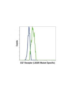 Cell Signaling Egf Receptor (L858r Mutant Specific) (43b2) Rabbit mAb