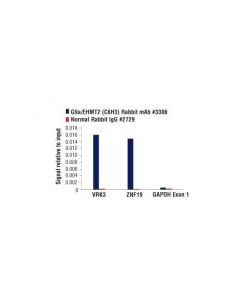 Cell Signaling G9a/Ehmt2 (C6h3) Rabbit mAb