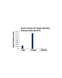Cell Signaling Ctcf (D31h2) Xp<Lt/>Sup&Gt;®<Lt/>/Sup&Gt; Rabbit mAb