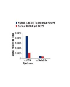 Cell Signaling Ncor1 (E4s4n) Rabbit mAb