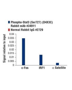 Cell Signaling Phospho-Stat3 (Ser727) (D4x3c) Rabbit mAb