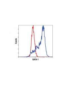 Cell Signaling Gata-1 (D52h6) Xp Rabbit mAb