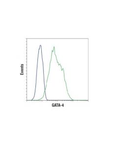 Cell Signaling Gata-4 (D3a3m) Rabbit mAb