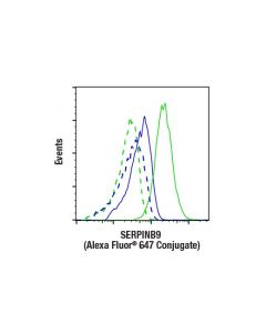 Cell Signaling Serpinb9 (E9x9z) Rabbit mAb (Alexa Fluor 647 Conjugate)