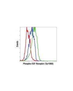Cell Signaling Phospho-Egf Receptor (Tyr1068) (D7a5) Xp Rabbit mAb