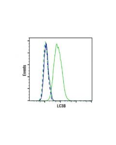 Cell Signaling Lc3b (D11) Xp Rabbit mAb