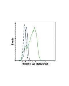Cell Signaling Phosphoplus Syk (Tyr525/526) Antibody Duet
