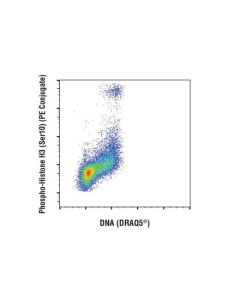 Cell Signaling Draq5