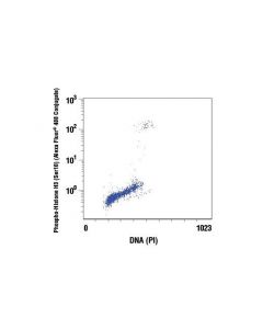 Cell Signaling Propidium Iodide (Pi)/Rnase Staining Solution