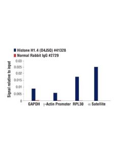 Cell Signaling Histone H1.4 (D4j5q) Rabbit mAb