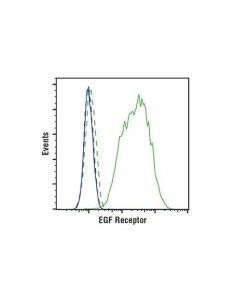 Cell Signaling Egf Receptor (D38b1) Xp Rabbit mAb