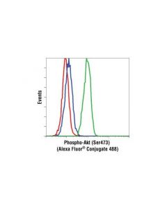 Cell Signaling Rabbit Igg Isotype Control (Alexa Fluor 488 Conjugate)