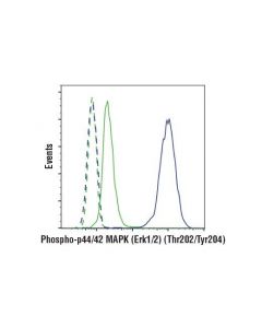 Cell Signaling Phospho-P44/42 Mapk (Erk1/2) (Thr202/Tyr204) (D13.14.4e) Xp Rabbit mAb