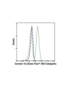 Cell Signaling Coronin 1a (D6k5b) Xp Rabbit mAb (Alexa Fluor 488 Conjugate)