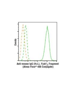 Cell Signaling Anti-Mouse Igg (H+L), F(Ab) 2 Fragment (Alexa Fluor 488 Conjugate)