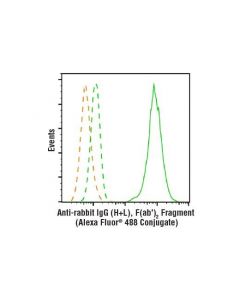 Cell Signaling Anti-Rabbit Igg (H+L), F(Ab) 2 Fragment (Alexa Fluor 488 Conjugate)