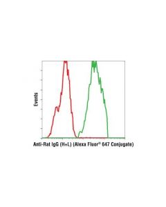 Cell Signaling Anti-Rat Igg (H+L), (Alexa Fluor 647 Conjugate)