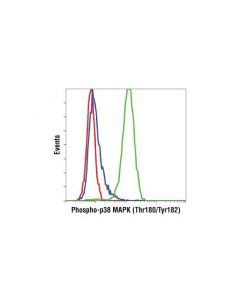 Cell Signaling Phospho-P38 Mapk (Thr180/Tyr182) (D3f9) Xp Rabbit mAb