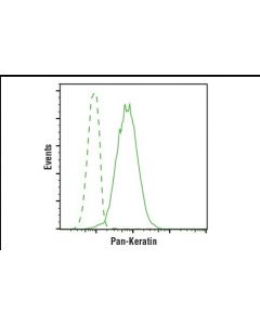 Cell Signaling Pan-Keratin (C11) Mouse mAb