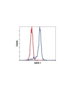 Cell Signaling Gata-1 (D24e4) Xp Rabbit mAb