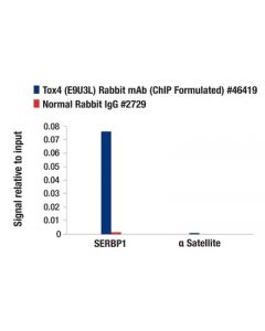 Cell Signaling Tox4 (E9u3l) Rabbit mAb (Chip Formulated)