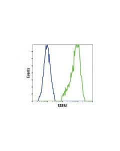 Cell Signaling Cd15/Ssea1 (Mc480) Mouse mAb