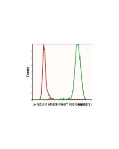 Cell Signaling Alpha-Tubulin (11h10) Rabbit mAb (Alexa Fluor 488 Conjugate)