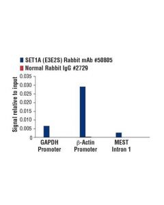Cell Signaling Set1a (E3e2s) Rabbit mAb