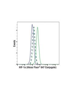 Cell Signaling Hif-1alpha (D1s7w) Xp Rabbit mAb (Alexa Fluor 647 Conjugate)