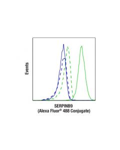 Cell Signaling Serpinb9 (E9x9z) Rabbit mAbjugate)