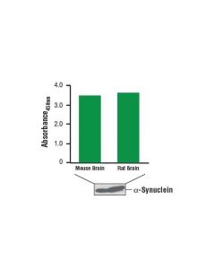 Cell Signaling Pathscan Total Alpha-Synuclein Sandwich Elisa Kit