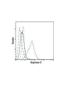 Cell Signaling Arginase-2 (D9j1n) Xp Rabbit mAb