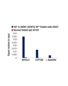 Cell Signaling Hif-1beta/Arnt (D28f3) Xp Rabbit mAb