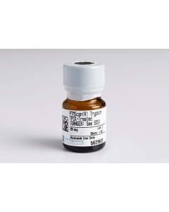 Cell Signaling Ptmscan Trypsin, Tpck-Treated