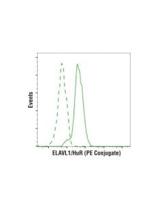 Cell Signaling Elavl1/Hur (D9w7e) Rabbit mAb (Pe Conjugate)