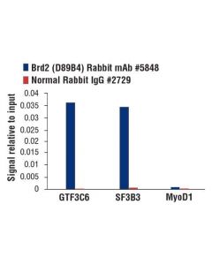 Cell Signaling Brd2 (D89b4) Rabbit mAb