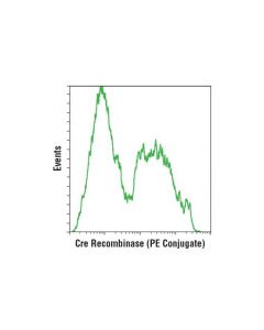 Cell Signaling Cre Recombinase (D7l7l) Xp Rabbit mAb (Pe Conjugate)