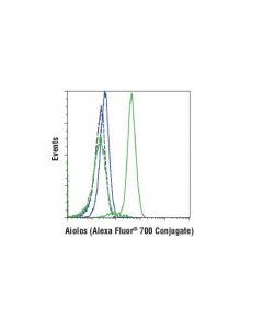 Cell Signaling Aiolos (D1c1e) Rabbit mAb (Alexa Fluor 700 Conjugate)