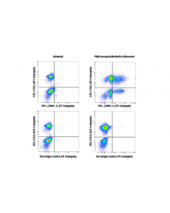 Cell Signaling Ifn-Gamma (Xmg1.2) Rat mAb (Pe Conjugate)