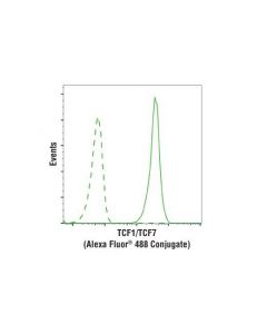 Cell Signaling Tcf1/Tcf7 (C63d9) Rabbit mAb (Alexa Fluor 488 Conjugate)