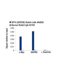 Cell Signaling Spt4 (D3p2w) Rabbit mAb
