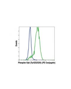 Cell Signaling Phospho-Syk (Tyr525/526) (C87c1) Rabbit mAb (Pe Conjugate)