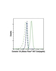 Cell Signaling Coronin 1a (D6k5b) Xp Rabbit mAb (Alexa Fluor 647 Conjugate)