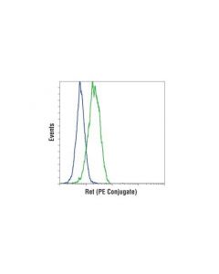 Cell Signaling Ret (E1n9a) Rabbit mAb (Pe Conjugate)