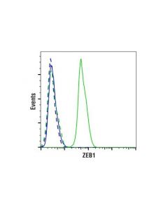 Cell Signaling Zeb1 (E2g6y) Xp Rabbit mAb