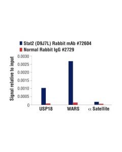 Cell Signaling Stat2 (D9j7l) Rabbit mAb